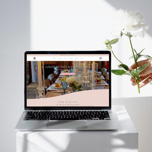 Professional Website Package